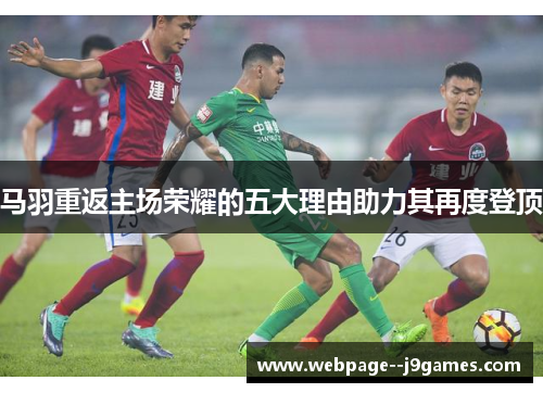 马羽重返主场荣耀的五大理由助力其再度登顶